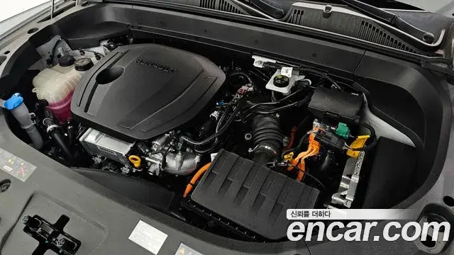 Renault Samsung Grand Koleos 2025 — Фото 6/20