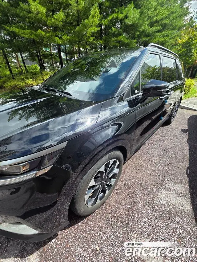 Kia Carnival 2021 — Фото 10/11
