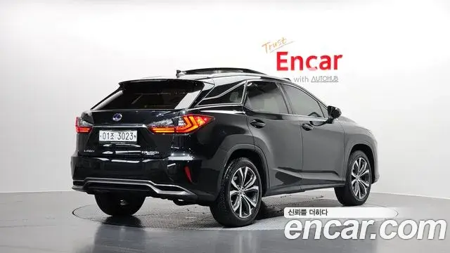 Lexus RX450h 2019 — ფოტო 20/20