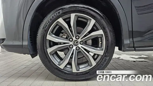 Lexus RX450h 2019 — ფოტო 12/20