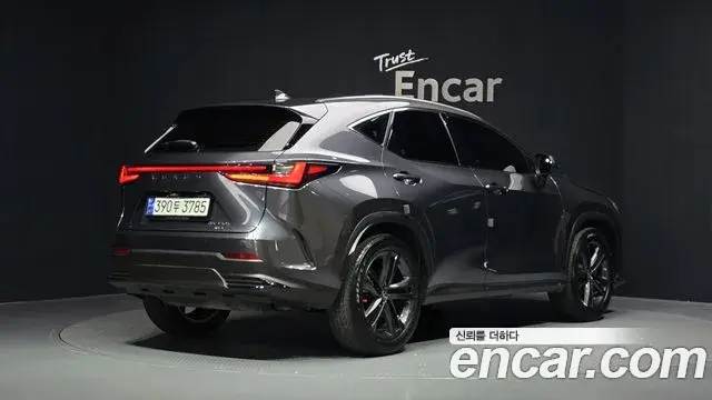 Lexus NX350h 2023 — Şəkil 3/33