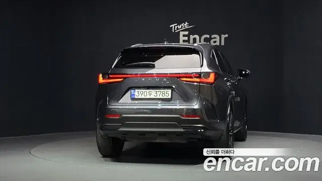 Lexus NX350h 2023 — Şəkil 1/33