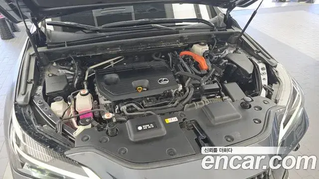 Lexus NX350h 2023 — Şəkil 24/33