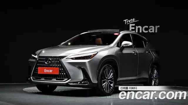Lexus NX350h 2025 — ფოტო 5/20
