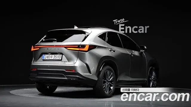 Lexus NX350h 2025 — ფოტო 1/20