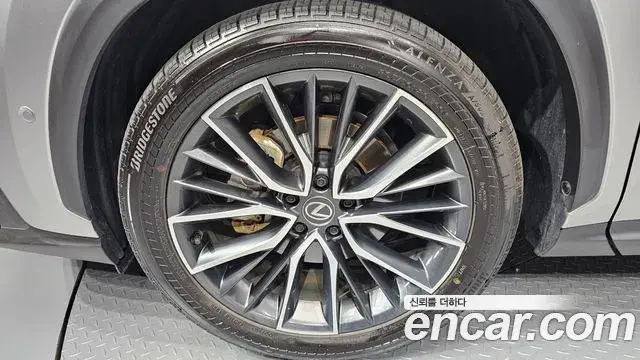 Lexus NX350h 2025 — ფოტო 7/20