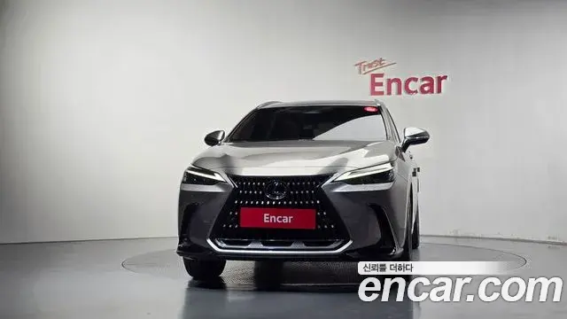 Lexus NX350h 2023 — Şəkil 16/20