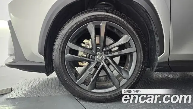 Lexus NX350h 2023 — Şəkil 10/20