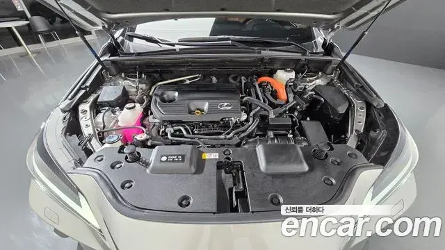 Lexus NX350h 2023 — Şəkil 18/20