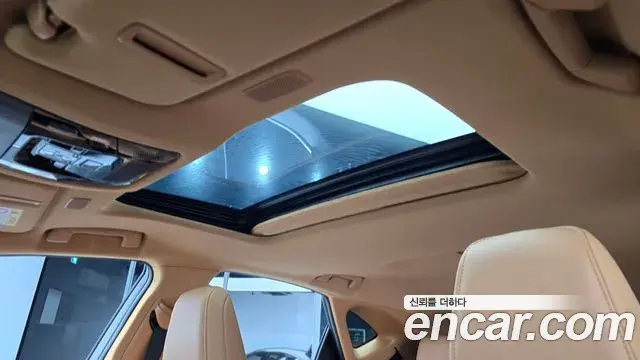 Lexus NX350h 2023 — Şəkil 19/20