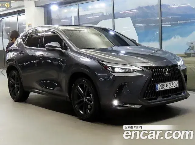 Lexus NX350h 2025 — Photo 1/1
