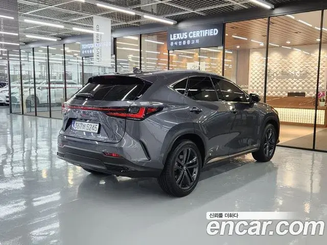 Lexus NX350h 2026 — Фото 1/20