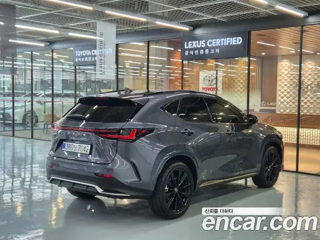 Lexus NX450h+ 2025 — Photo 16/20
