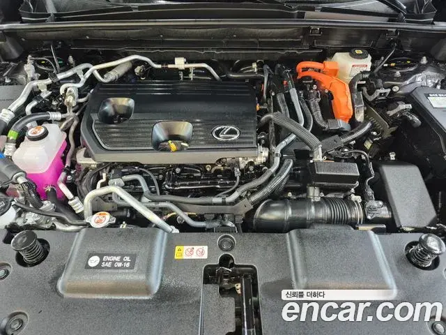 Lexus NX450h+ 2025 — Photo 12/20