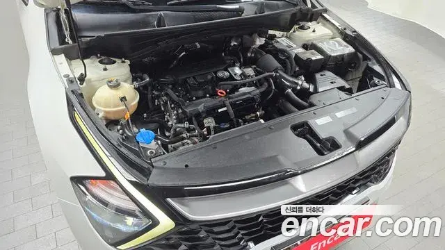 Kia Sportage 2022 — Photo 19/20