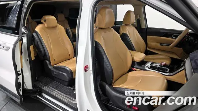 Kia Carnival 2020 — Фото 12/20