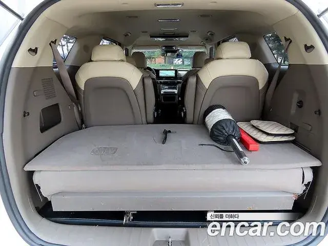 Kia Carnival 2021 — ფოტო 8/20