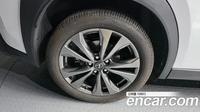 Lexus UX250h 2023 — Şəkil 16/20