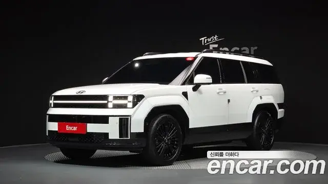 Hyundai Santa Fe 2024 — ფოტო 19/20