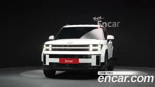 Hyundai Santa Fe 2024 — ფოტო 16/20