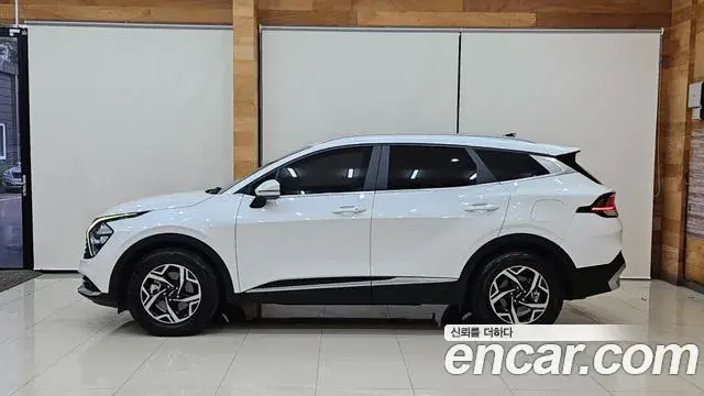 Kia Sportage 2021 — Фото 4/20