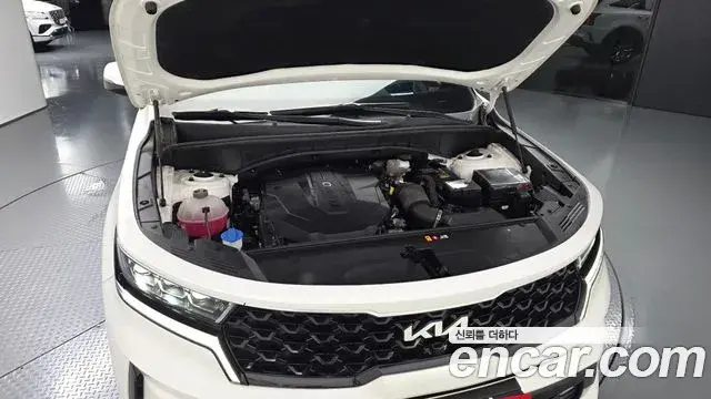 Kia Sorento 2021 — Фото 6/20