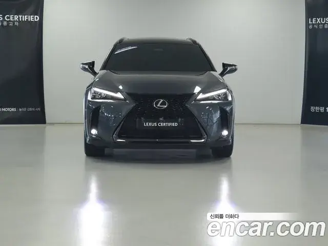 Lexus UX300h 2025 — Photo 14/16