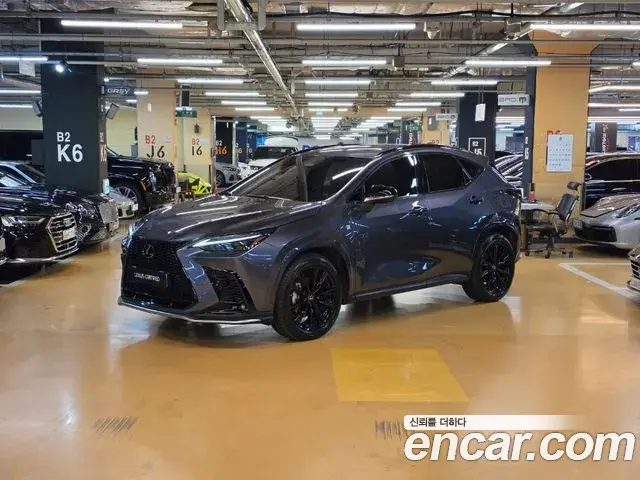 Lexus NX450h+ 2023 — ფოტო 1/20