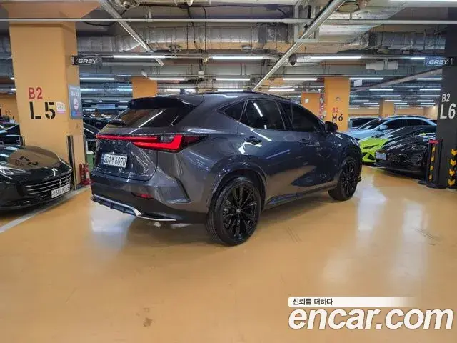 Lexus NX450h+ 2023 — ფოტო 15/20