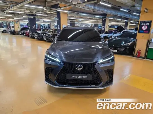 Lexus NX450h+ 2023 — ფოტო 20/20