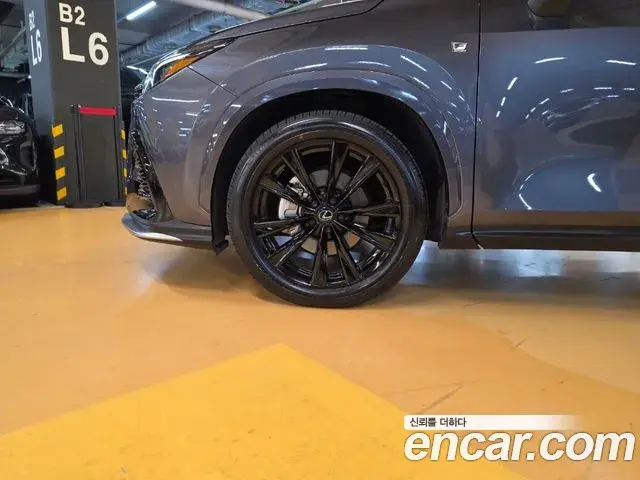 Lexus NX450h+ 2023 — ფოტო 10/20
