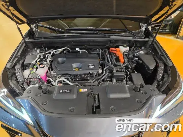 Lexus NX450h+ 2023 — ფოტო 9/20