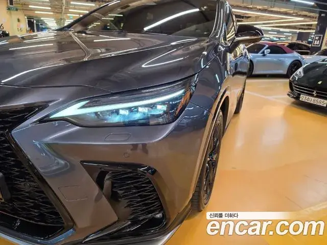 Lexus NX450h+ 2023 — ფოტო 17/20