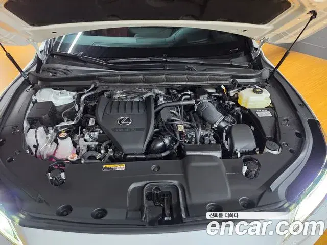 Lexus RX500h 2025 — Photo 11/18