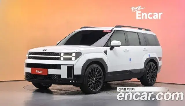 Hyundai Santa Fe 2024 — ფოტო 1/20