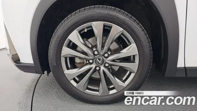 Lexus UX250h 2022 — Şəkil 8/20