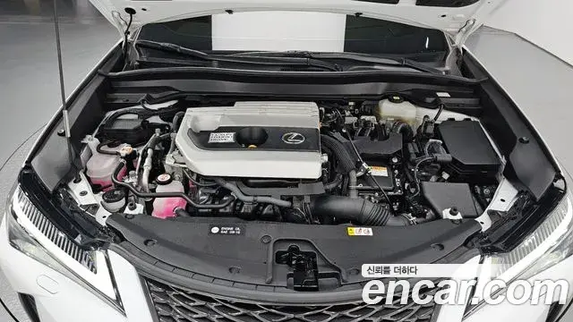 Lexus UX250h 2022 — Şəkil 11/20