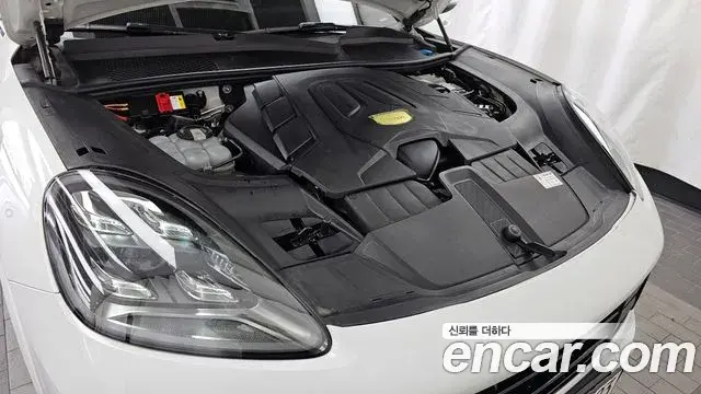 Porsche Cayenne 2019 — ფოტო 10/20