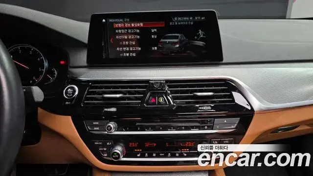 BMW 5 Series 2018 — ფოტო 10/20