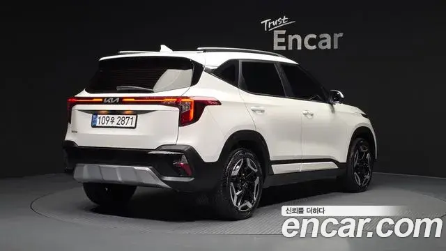 Kia Seltos 2024 — ფოტო 11/20