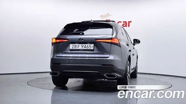 Lexus NX300 2018 — Şəkil 12/32
