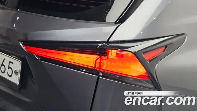 Lexus NX300 2018 — Şəkil 30/32