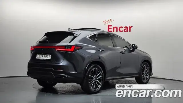 Lexus NX350h 2023 — Фото 2/20