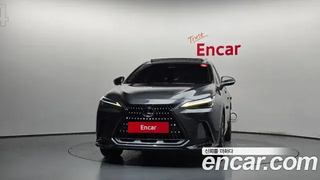 Lexus NX350h 2023 — Фото 3/20
