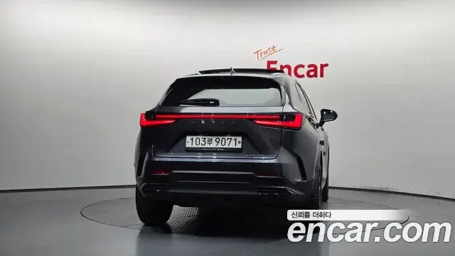 Lexus NX350h 2023 — Фото 4/20