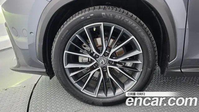 Lexus NX350h 2023 — Фото 5/20