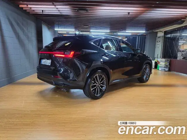 Lexus NX350h 2026 — Фото 1/18