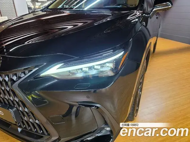 Lexus NX350h 2026 — Фото 17/18