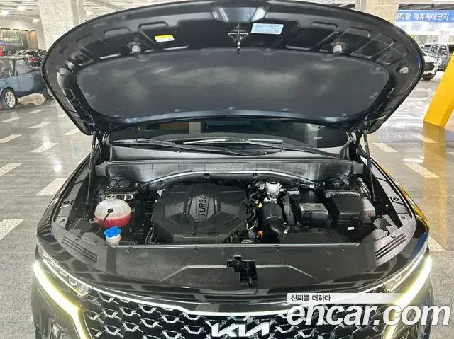 Kia Sorento 2023 — Фото 6/20