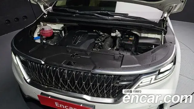 Kia Carnival 2021 — Фото 6/20